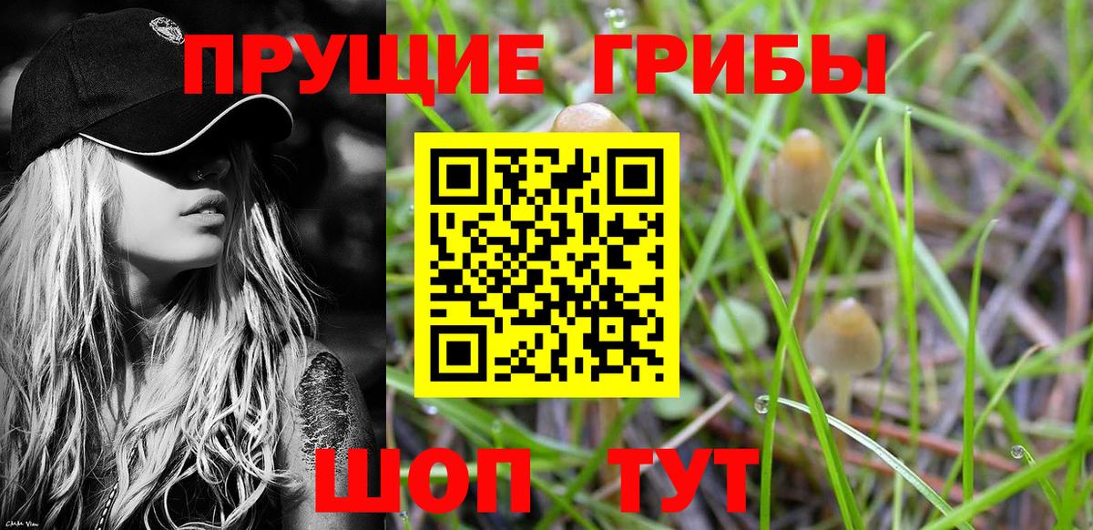 Рязань  Галлюциногенные грибы Psilocybe  Галлюциногенные грибы Cubensis  Вход с VPN 